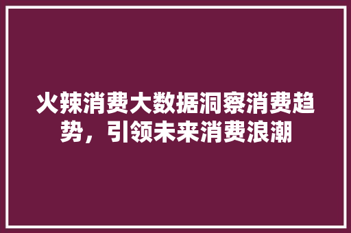 火辣消费大数据洞察消费趋势，引领未来消费浪潮