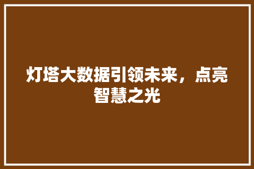 灯塔大数据引领未来，点亮智慧之光