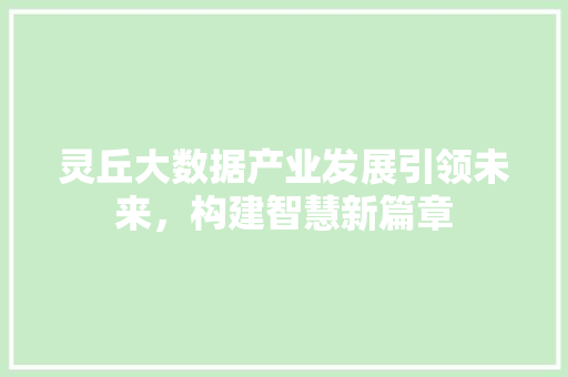 灵丘大数据产业发展引领未来，构建智慧新篇章