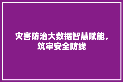 灾害防治大数据智慧赋能，筑牢安全防线