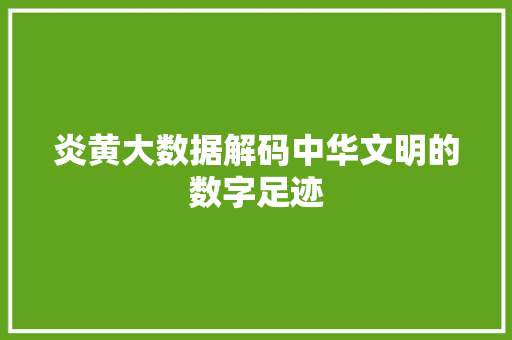 炎黄大数据解码中华文明的数字足迹