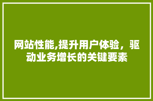 网站性能,提升用户体验，驱动业务增长的关键要素 网站性能,提升用户体验，驱动业务增长的关键要素 建站教程
