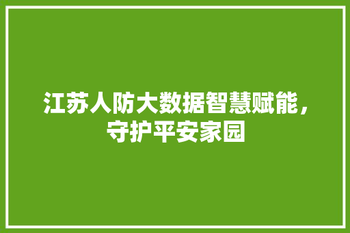 江苏人防大数据智慧赋能，守护平安家园 Web前端