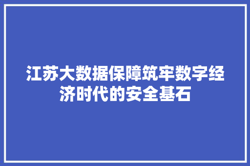 江苏大数据保障筑牢数字经济时代的安全基石 服务器/数据库
