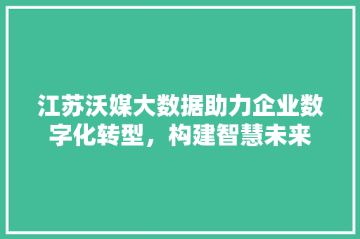 江苏沃媒大数据助力企业数字化转型，构建智慧未来 建站教程