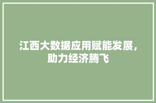江西大数据应用赋能发展，助力经济腾飞