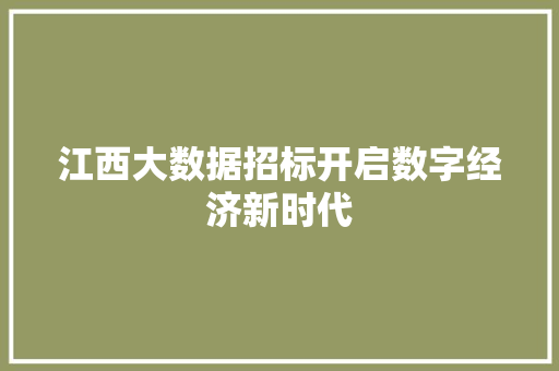 江西大数据招标开启数字经济新时代 SEO教程