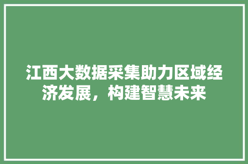 江西大数据采集助力区域经济发展，构建智慧未来 服务器/数据库
