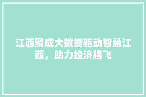 江西聚成大数据驱动智慧江西，助力经济腾飞 SEO教程