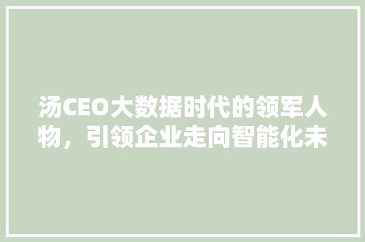 汤CEO大数据时代的领军人物，引领企业走向智能化未来 Web前端