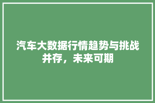 汽车大数据行情趋势与挑战并存，未来可期