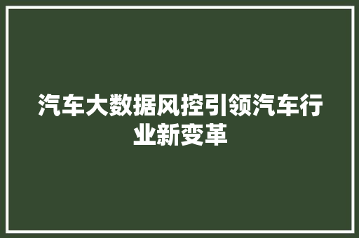 汽车大数据风控引领汽车行业新变革 WordPress教程