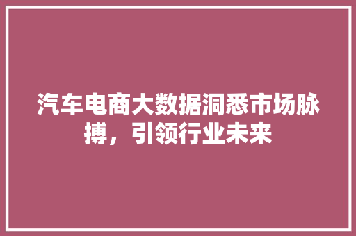汽车电商大数据洞悉市场脉搏，引领行业未来