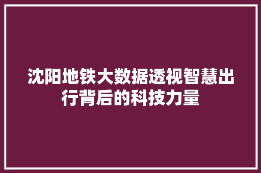 沈阳地铁大数据透视智慧出行背后的科技力量