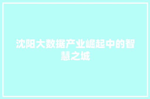 沈阳大数据产业崛起中的智慧之城