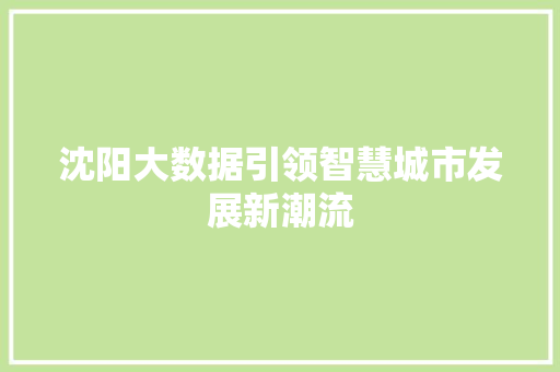沈阳大数据引领智慧城市发展新潮流 友链在线