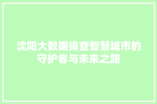 沈阳大数据排查智慧城市的守护者与未来之路 友链在线