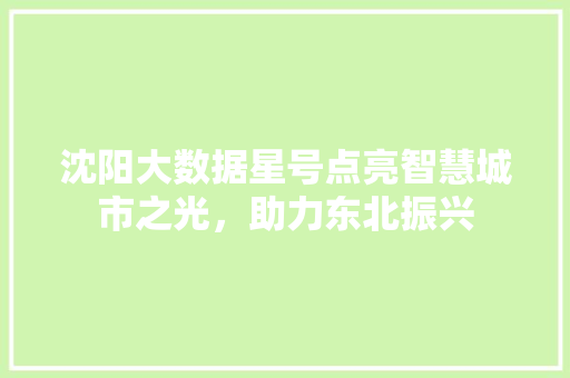 沈阳大数据星号点亮智慧城市之光，助力东北振兴