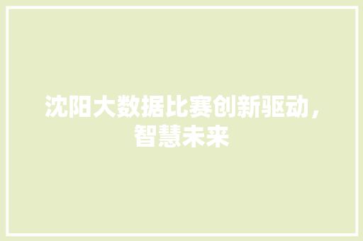 沈阳大数据比赛创新驱动，智慧未来