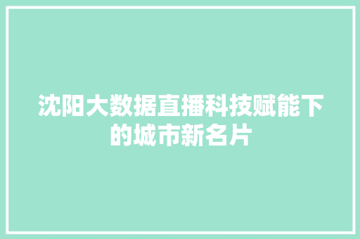 沈阳大数据直播科技赋能下的城市新名片