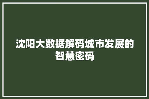 沈阳大数据解码城市发展的智慧密码 Web前端