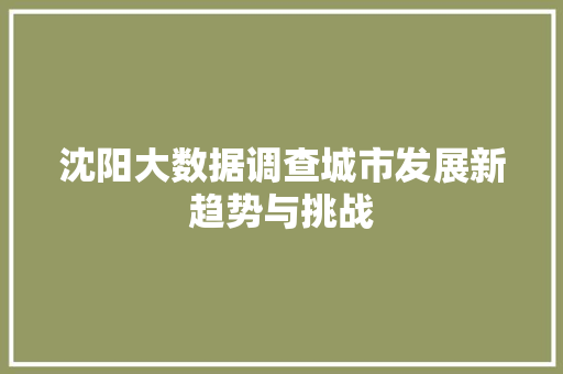 沈阳大数据调查城市发展新趋势与挑战