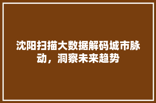 沈阳扫描大数据解码城市脉动，洞察未来趋势
