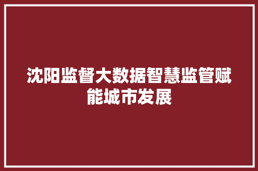 沈阳监督大数据智慧监管赋能城市发展
