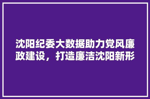 沈阳纪委大数据助力党风廉政建设，打造廉洁沈阳新形象 建站教程