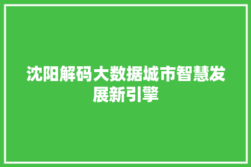 沈阳解码大数据城市智慧发展新引擎