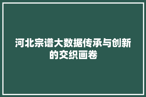 河北宗谱大数据传承与创新的交织画卷 服务器/数据库