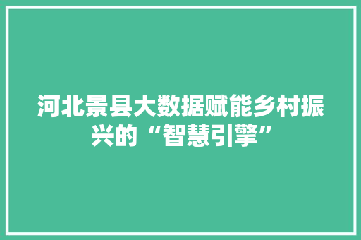 河北景县大数据赋能乡村振兴的“智慧引擎”