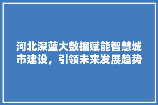 河北深蓝大数据赋能智慧城市建设，引领未来发展趋势