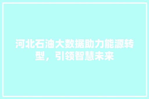 河北石油大数据助力能源转型，引领智慧未来