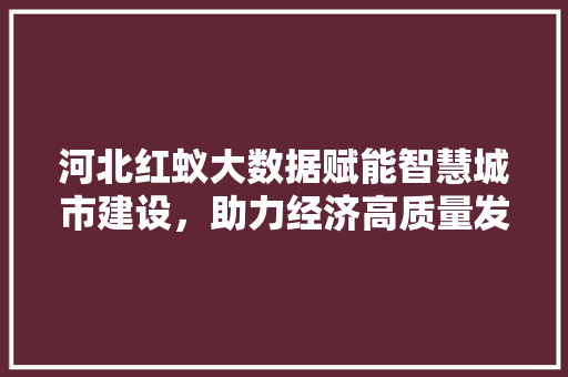 河北红蚁大数据赋能智慧城市建设，助力经济高质量发展