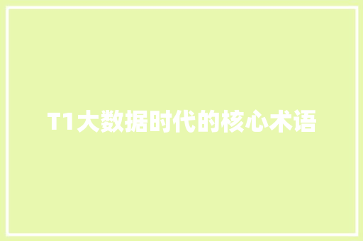 T1大数据时代的核心术语