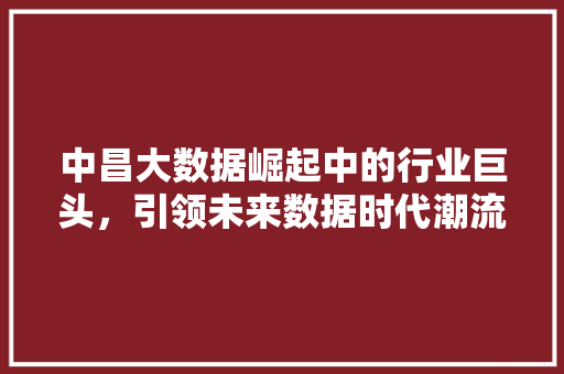 中昌大数据崛起中的行业巨头，引领未来数据时代潮流 WordPress教程