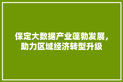 保定大数据产业蓬勃发展，助力区域经济转型升级