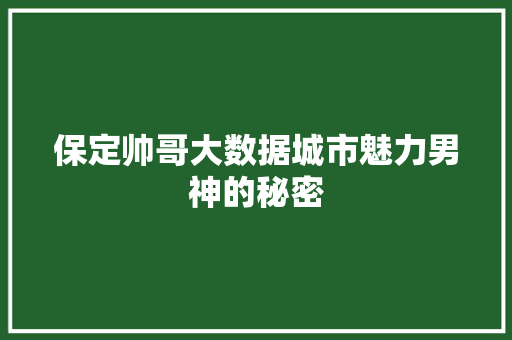 保定帅哥大数据城市魅力男神的秘密