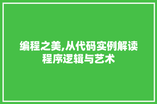 编程之美,从代码实例解读程序逻辑与艺术