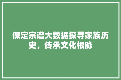 保定宗谱大数据探寻家族历史，传承文化根脉 建站教程