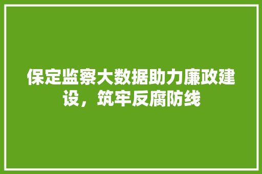 保定监察大数据助力廉政建设，筑牢反腐防线 SEO教程