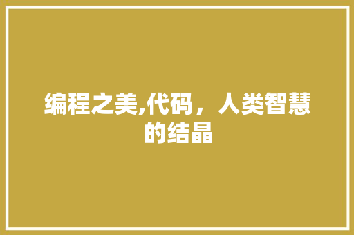 编程之美,代码，人类智慧的结晶
