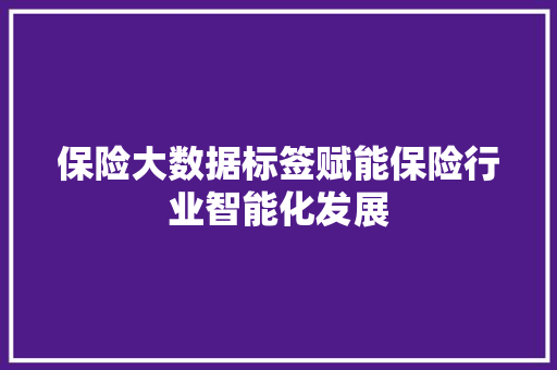 保险大数据标签赋能保险行业智能化发展 建站教程