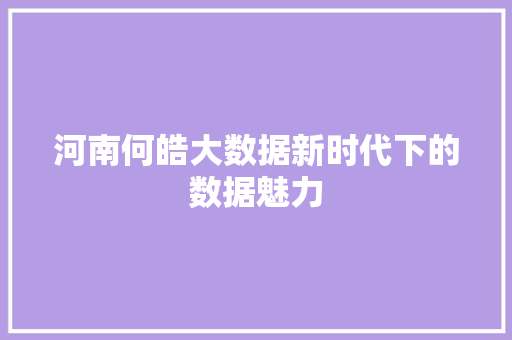 河南何皓大数据新时代下的数据魅力