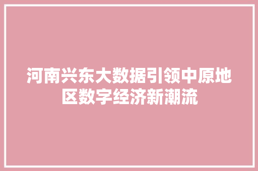 河南兴东大数据引领中原地区数字经济新潮流