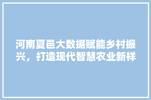 河南夏邑大数据赋能乡村振兴，打造现代智慧农业新样板