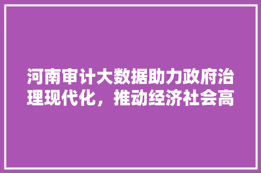 河南审计大数据助力政府治理现代化，推动经济社会高质量发展