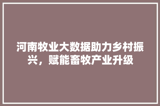 河南牧业大数据助力乡村振兴，赋能畜牧产业升级