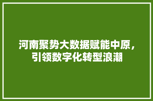 河南聚势大数据赋能中原，引领数字化转型浪潮